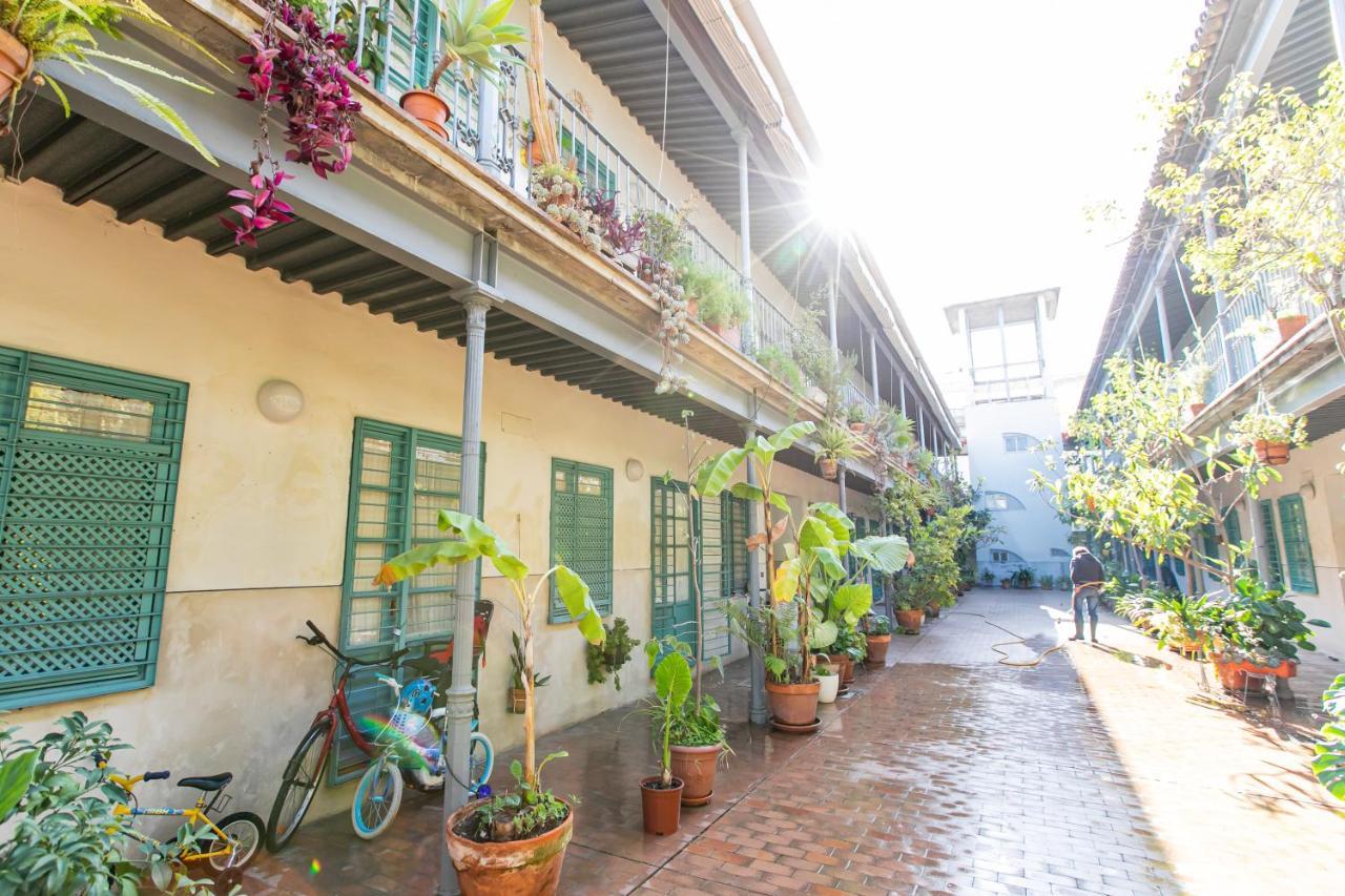 Apartamento 3 Dormitorios En Calle San Vicente. Севілья Екстер'єр фото