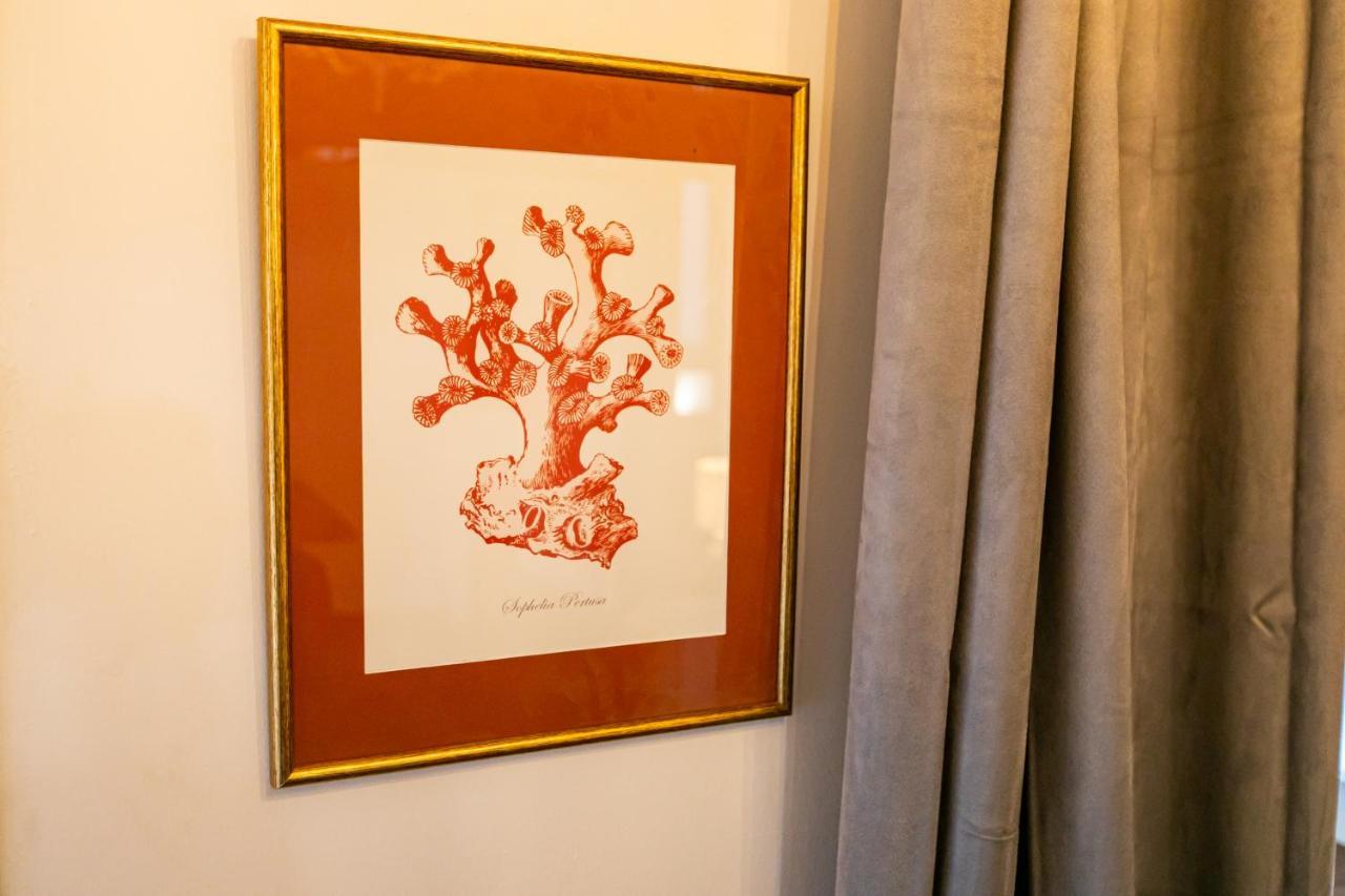 Apartamento 3 Dormitorios En Calle San Vicente. Севілья Екстер'єр фото